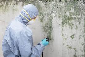 Best Crawl Space Mold Remediation  in Sun Valley, PA